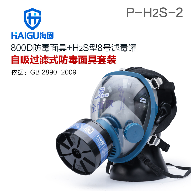 海固800D全面罩+HG-ABS/P-H2S-2滤毒罐 硫化氢活性炭防毒面具