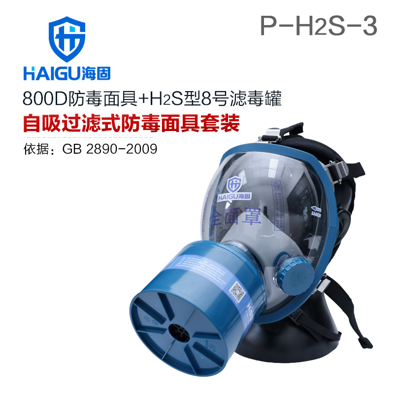 海固800D全面罩+HG-ABS/P-H2S-3滤毒罐 硫化氢活性炭防毒面具