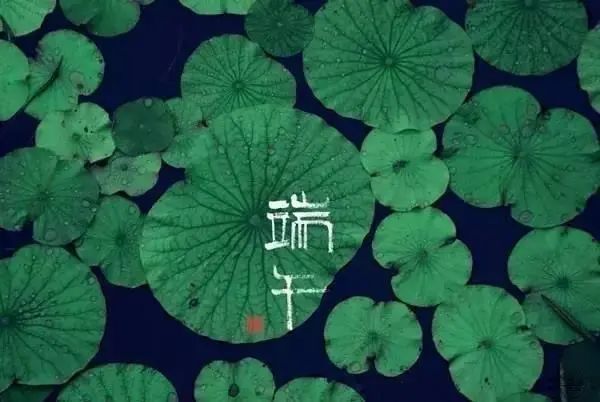 品味端午 传承文明|沧州海固预祝您端午安康! 品味端午 传承文明|沧州海固预祝您端午安康!