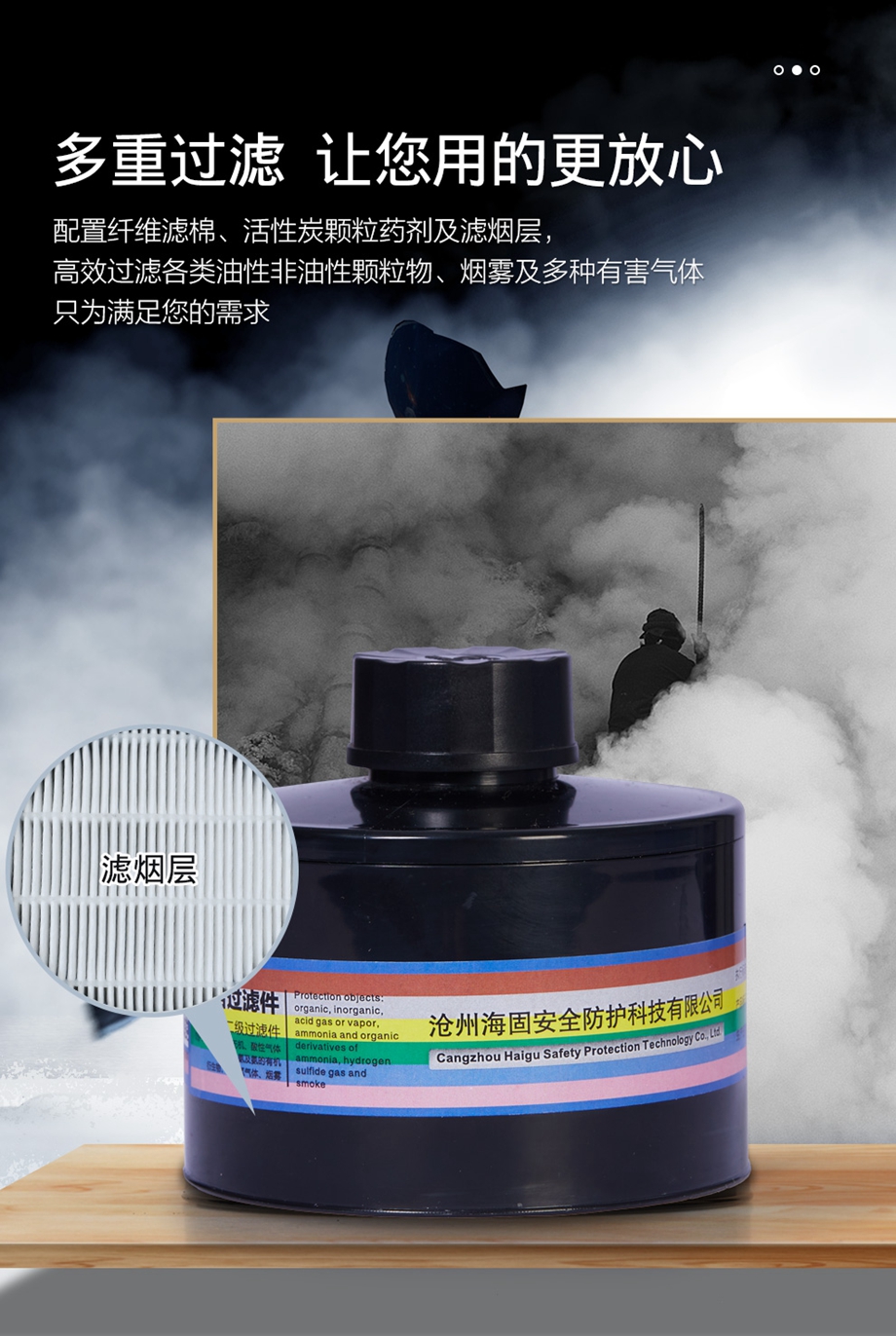 海固800D全面罩+Z-A/B/E/K/H2S-P2-2综合滤毒滤烟罐 防烟毒套装