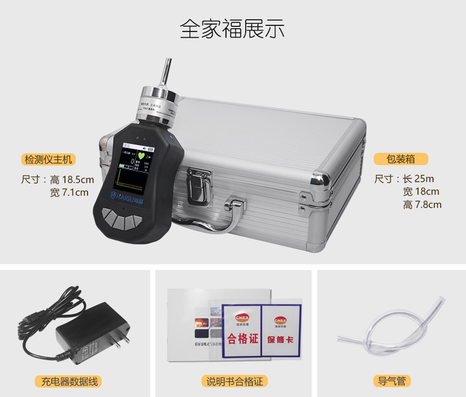 海固HG-BX-CO一氧化碳彩屏单一泵吸式气体检测仪