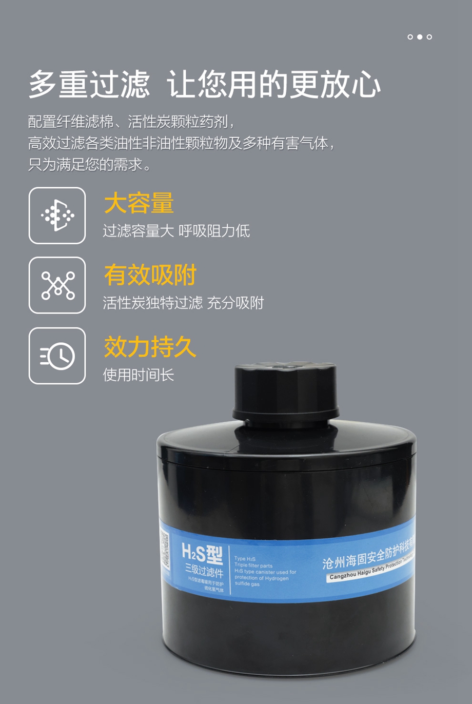 海固700全面罩+HG-ABS/P-H2S-3滤毒罐 硫化氢活性炭防毒面具