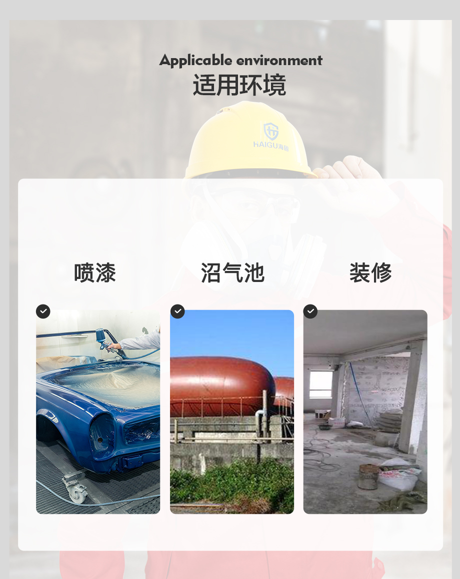 防尘毒套装 海固600半面罩+P-A-1有机气体滤毒盒+滤棉+滤棉盖