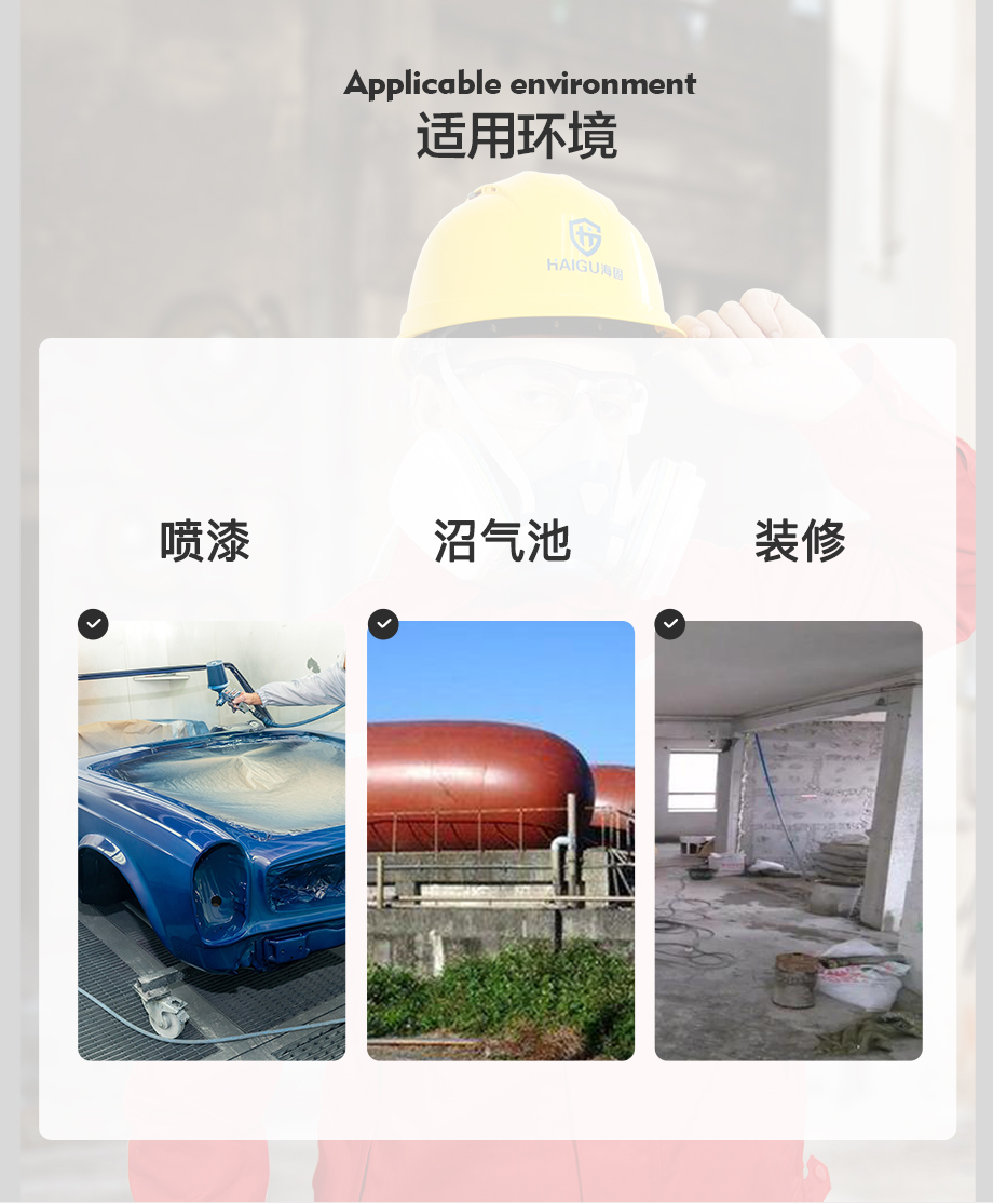 防尘毒套装 海固600半面罩+P-B-1无机气体滤毒盒+滤棉+滤棉盖