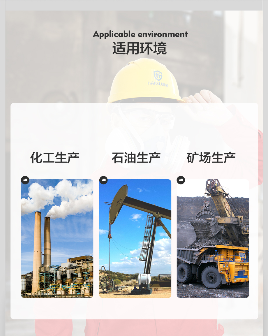 海固HG-602半面罩防毒面具+一级CO型5号滤毒盒+滤棉 防尘毒套装