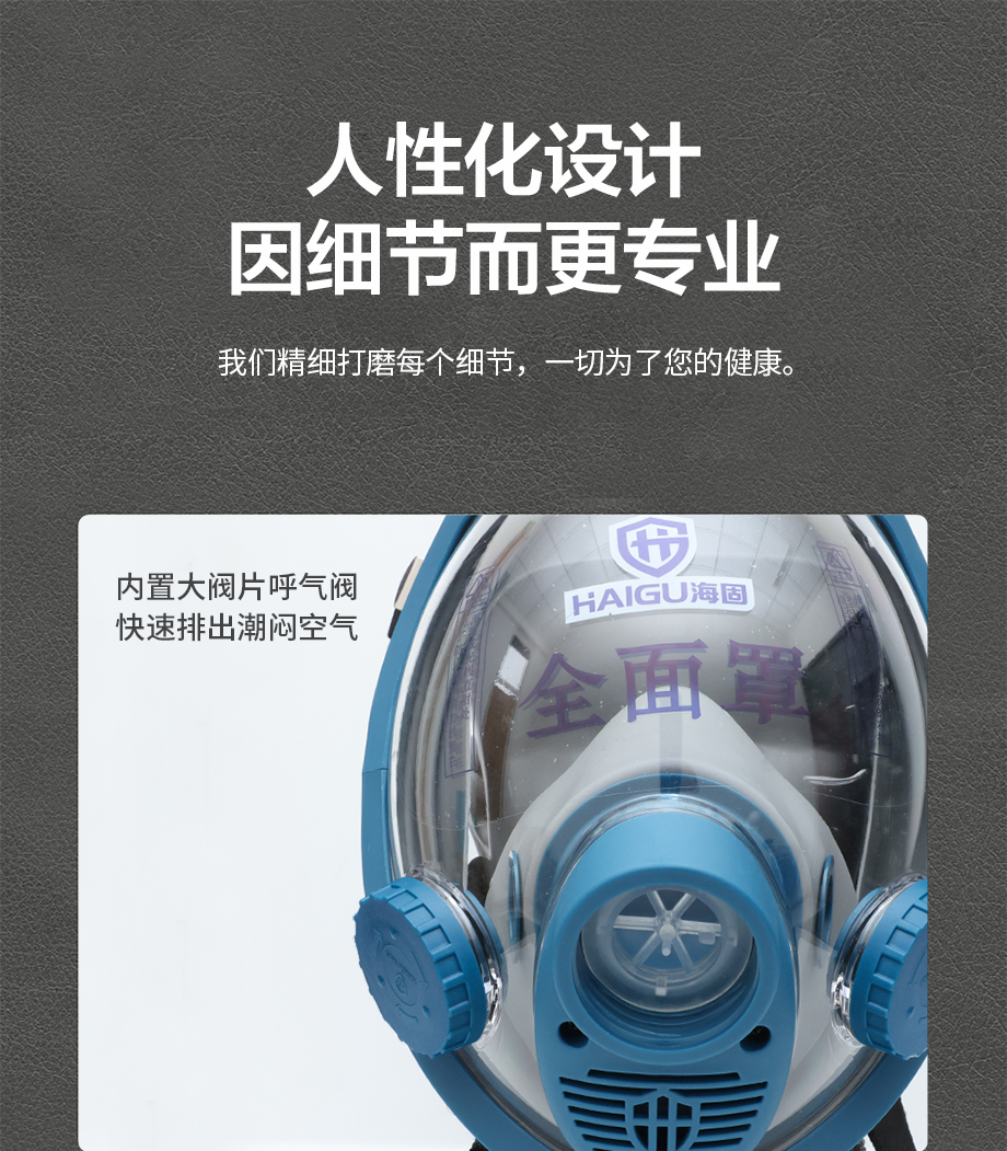 海固800D全面罩+P-E-1酸性气体滤毒盒+N2190滤棉+T形滤棉盖 防尘防毒套装