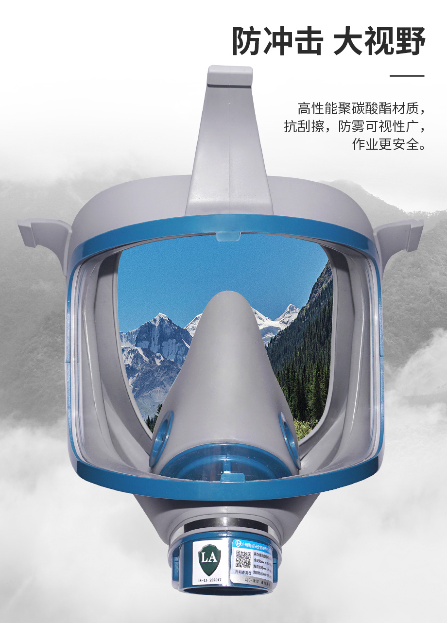 海固911全面罩+D-A/B/E/K/H2S-3滤毒罐 综合防毒气 活性炭面具