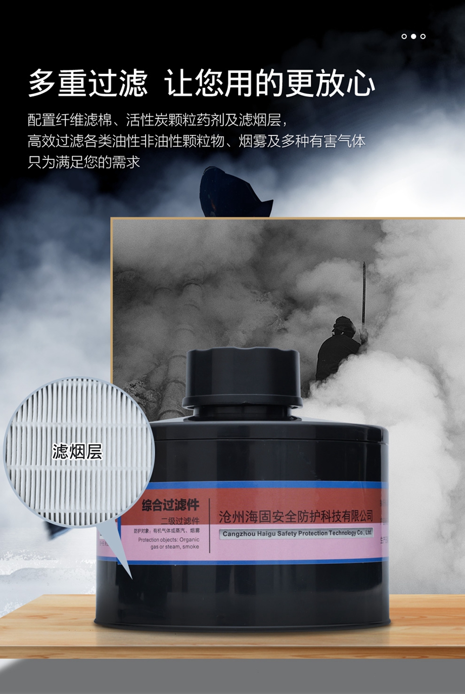 防烟毒套装--海固800全面罩+Z-B-P2-2综合型滤毒滤烟罐 防护无机气体或蒸汽、烟雾等