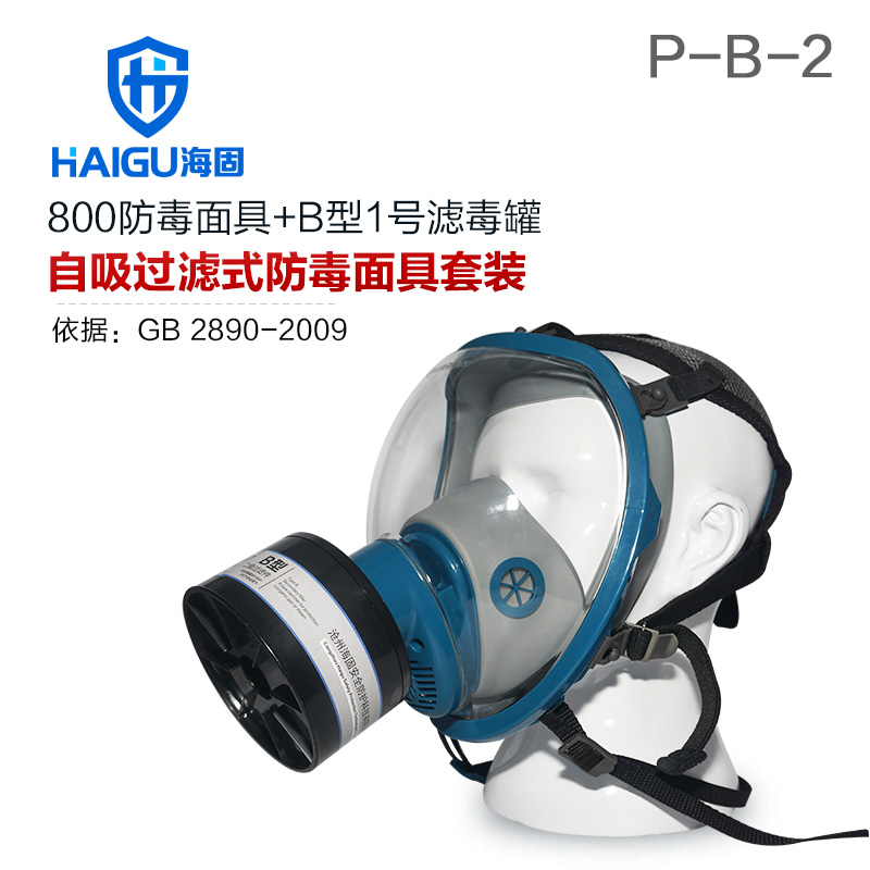 无机气体综合防护防毒面具套装-海固800全面罩+HG-ABS/P-B-2滤毒罐