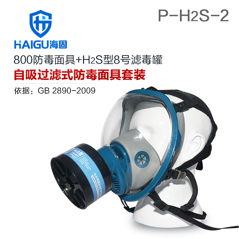 海固800全面罩+HG-ABS/P-H2S-2滤毒罐 硫化氢活性炭防毒面具