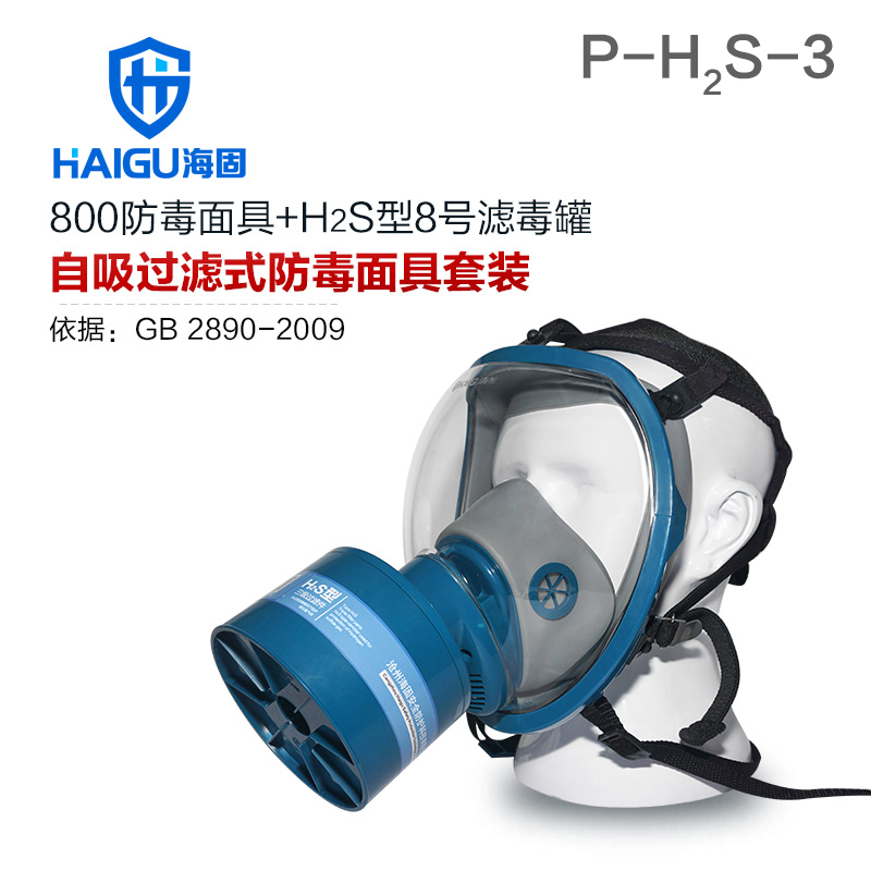 海固800全面罩+HG-ABS/P-H2S-3滤毒罐 硫化氢气体防护套装