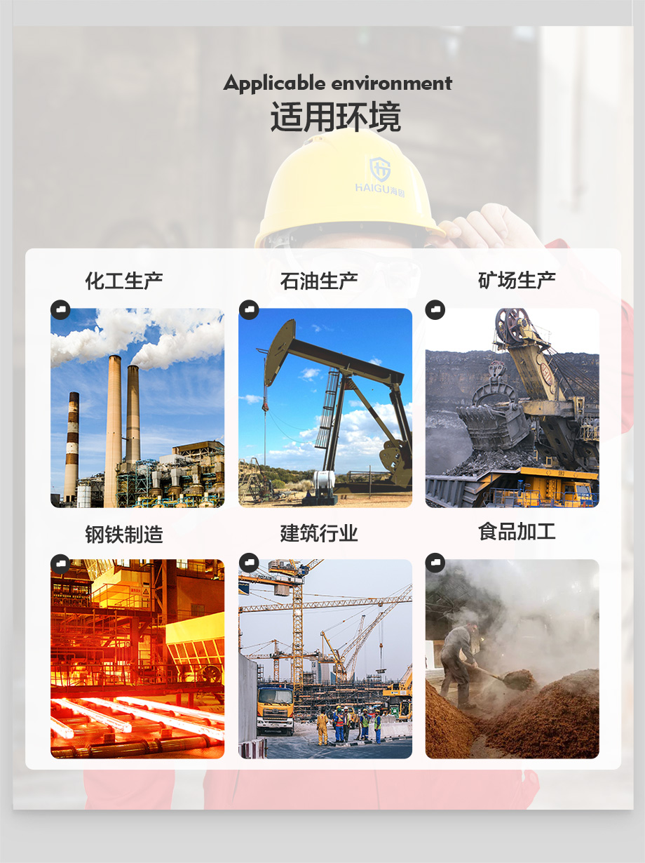 多功能防毒面具 海固602半面罩+一级多气体防护滤毒盒